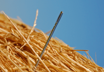 needle haystack